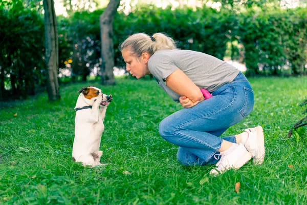 5 Erros Comuns no Adestramento de Cães de Raça (e Como Evitá-los)