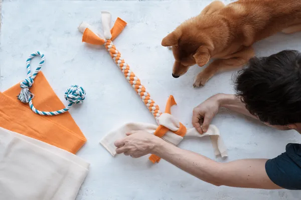 Vale a Pena Fazer Brinquedos Caseiros para Cães de Raça? Veja os Prós e Contras