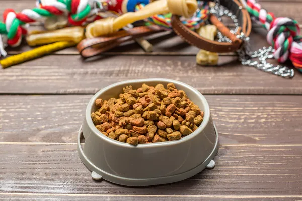 Comparativo: 5 Rações Premium Mais Indicadas para Diferentes Raças de Cães